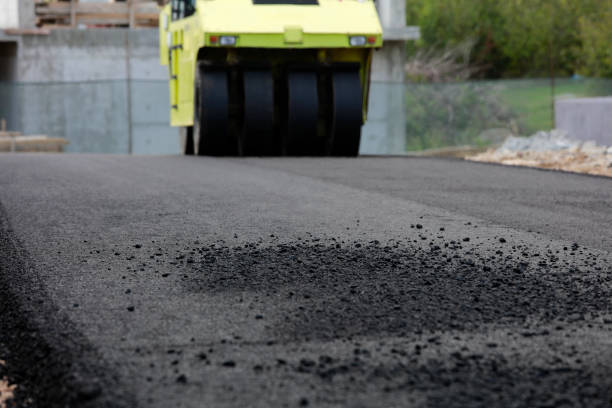 Best Professional Driveway Pavers  in Stagecoach, NV